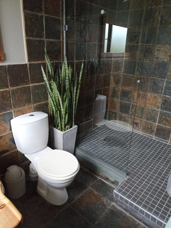 Fijnbos Guesthouse Knysna Exteriör bild